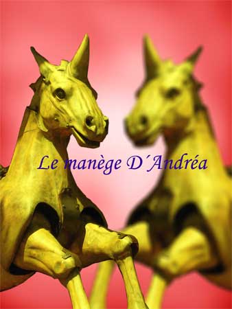 Fotografiando cuentos musicales:  Le man&egrave;ge d&acute;Andr&eacute;a (2)